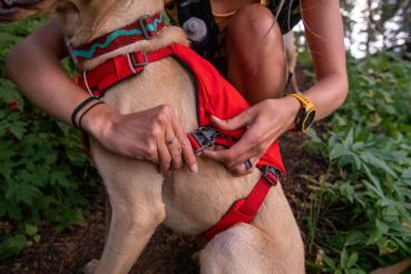 Ruffwear Switchbak Harness Blue Moon Gr. XS -
